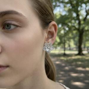 Boucles d'oreilles argenté